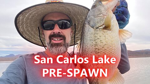 Pre-Spawn Fishing at San Carlos Lake 2025