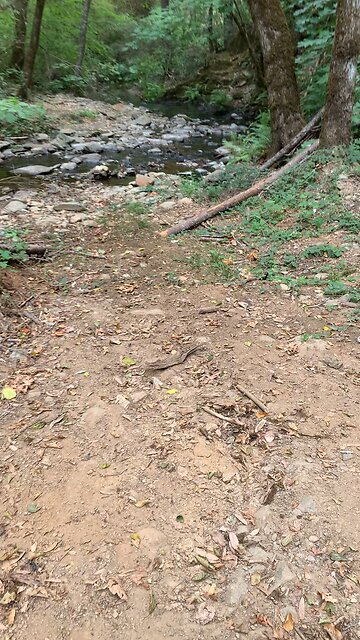 Just a Minute of Stillness