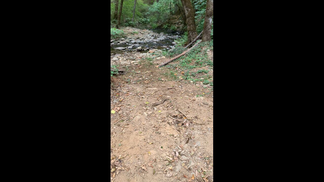 Just a Minute of Stillness