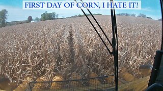 First Day Of Corn, I Hate It!