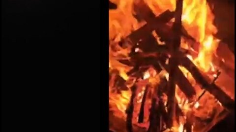 LIVE : Protests & Live Events