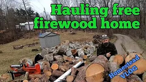 Hauling Free Firewood Home homestead vlog