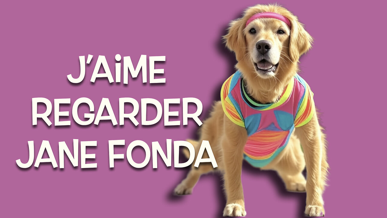 5 Exercices/jeux pour diminuer la peur chez ton chien