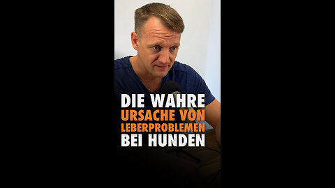 😱🐶🐾 Die wahre Ursache von Leberproblemen bei Hunden!