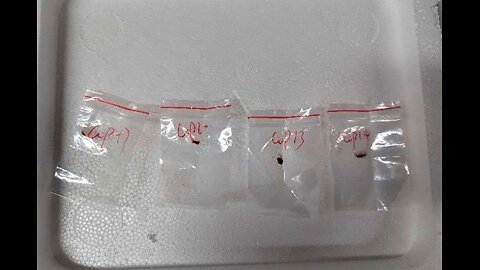 Chinese Ph.D. Student Arrested at U.S. Airport for Smuggling Biological Materials to Michigan Lab