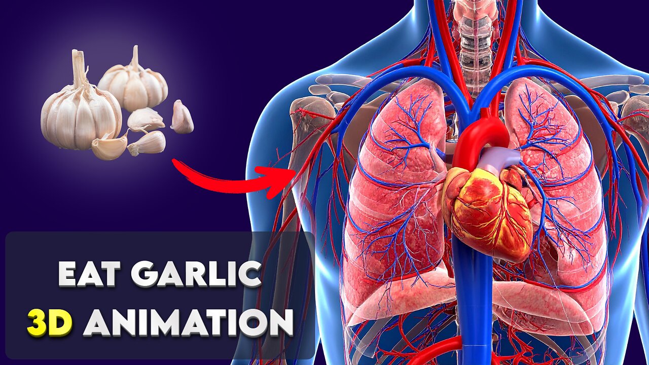 What Happens Inside Your Body When You Eat Garlic? | 3D Anatomy & Science Explained