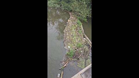 Checking on a Beaver Dam
