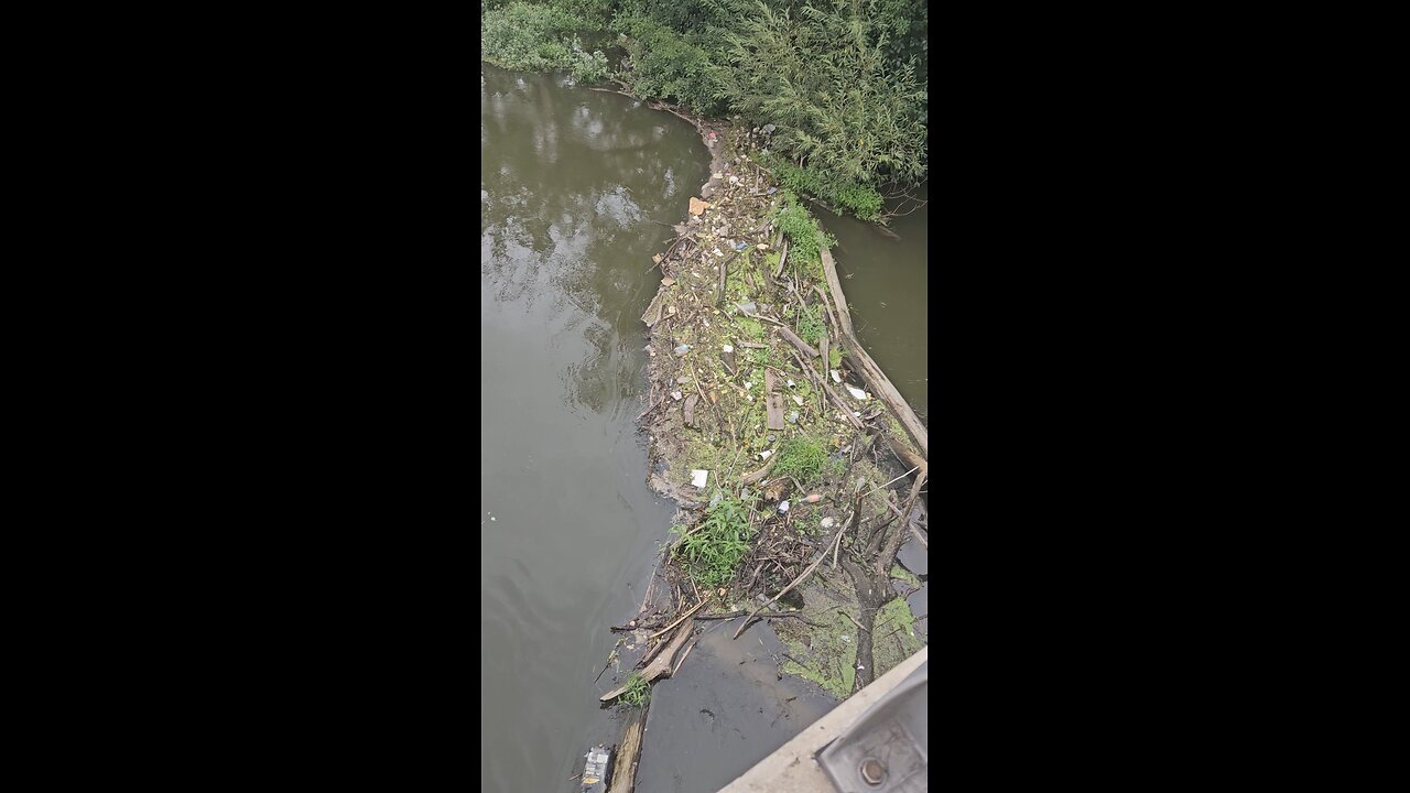 Checking on a Beaver Dam