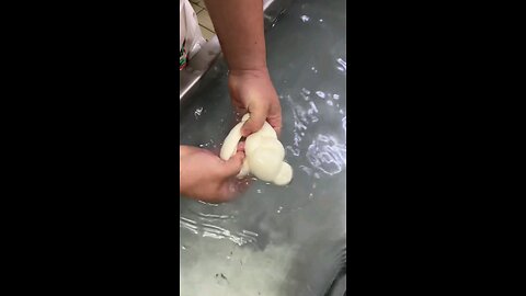 who is love cheese 🧀
