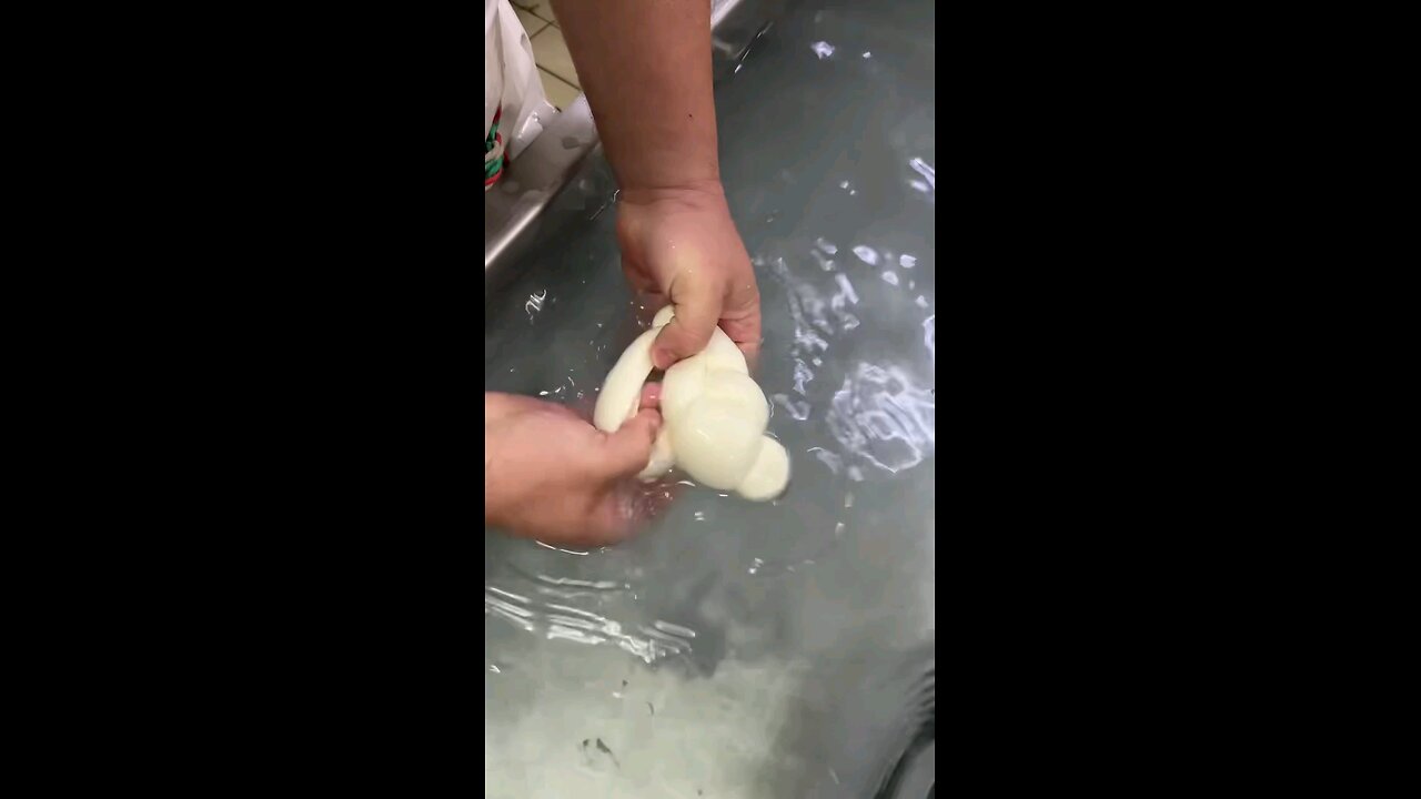 who is love cheese 🧀