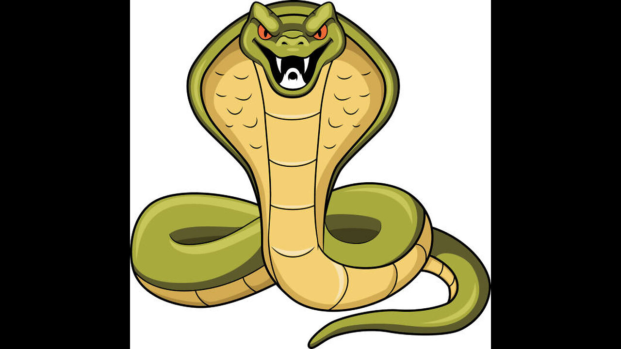 “Billi Aur Safed Naag: Zeher Ka Muqabla!” (Cat vs White Cobra: The Battle of Venom)