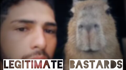 Animals are the best
