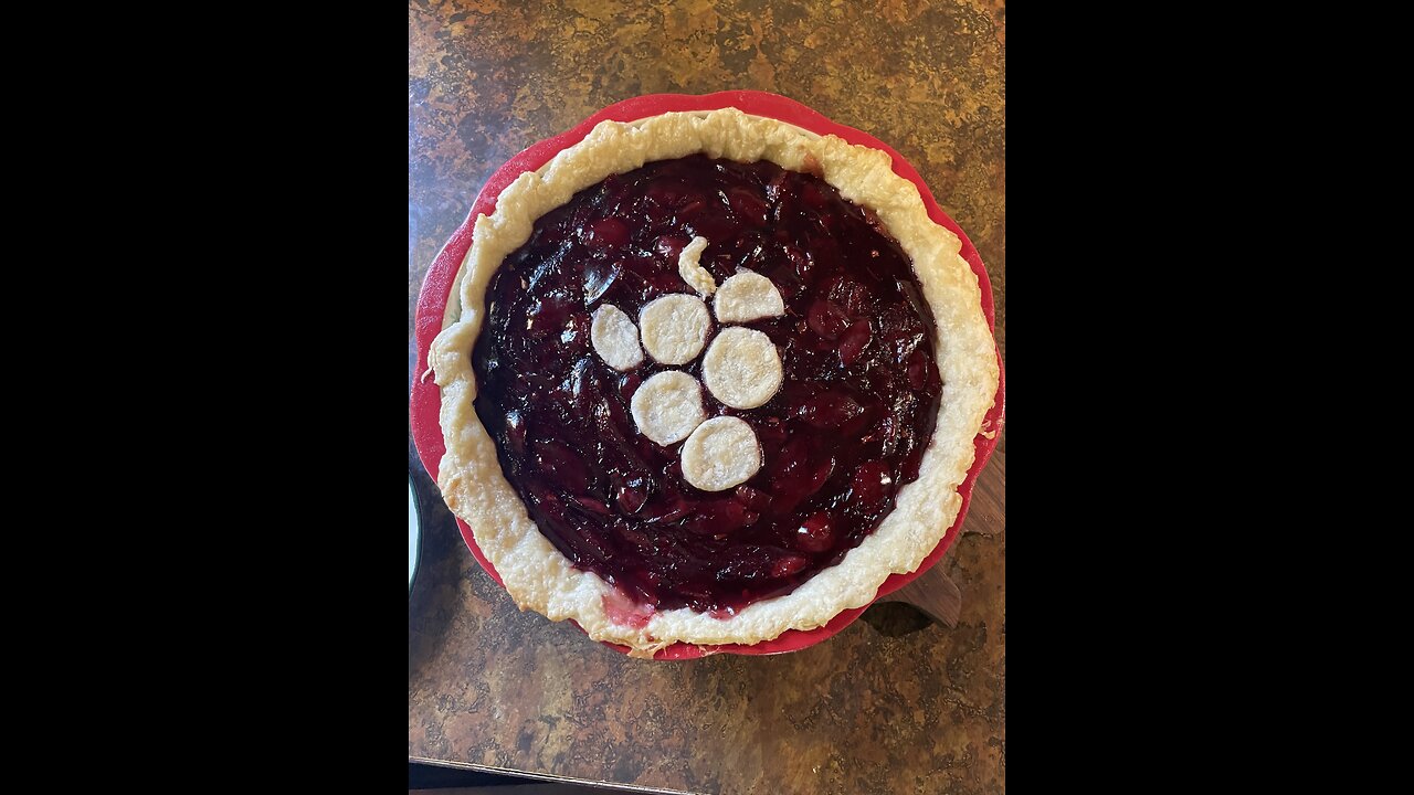 Homemade Grape Pie