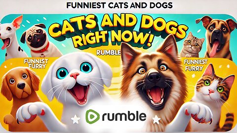 Funniest Cats and Dogs Right Now!🐱🐶 I Funny Animal Videos