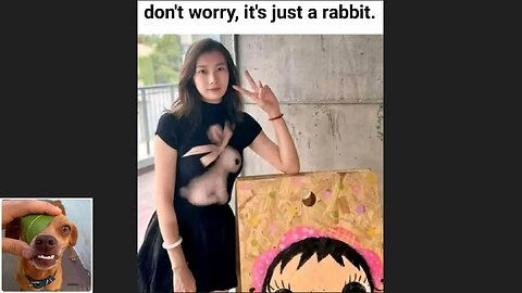 Memes That Will 99.0399% Make You Laugh. (e623)