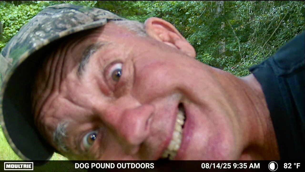 THE THINGS YOU CATCH ON YOUR TRAIL CAMERAS! #shorts #shortsfeed #funny #hunting