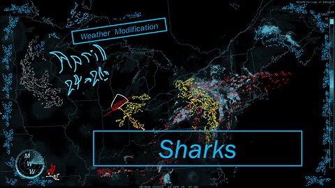 Swimming with Sharks Weather Modification