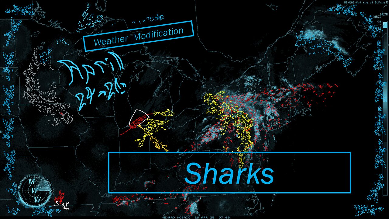 Swimming with Sharks Weather Modification