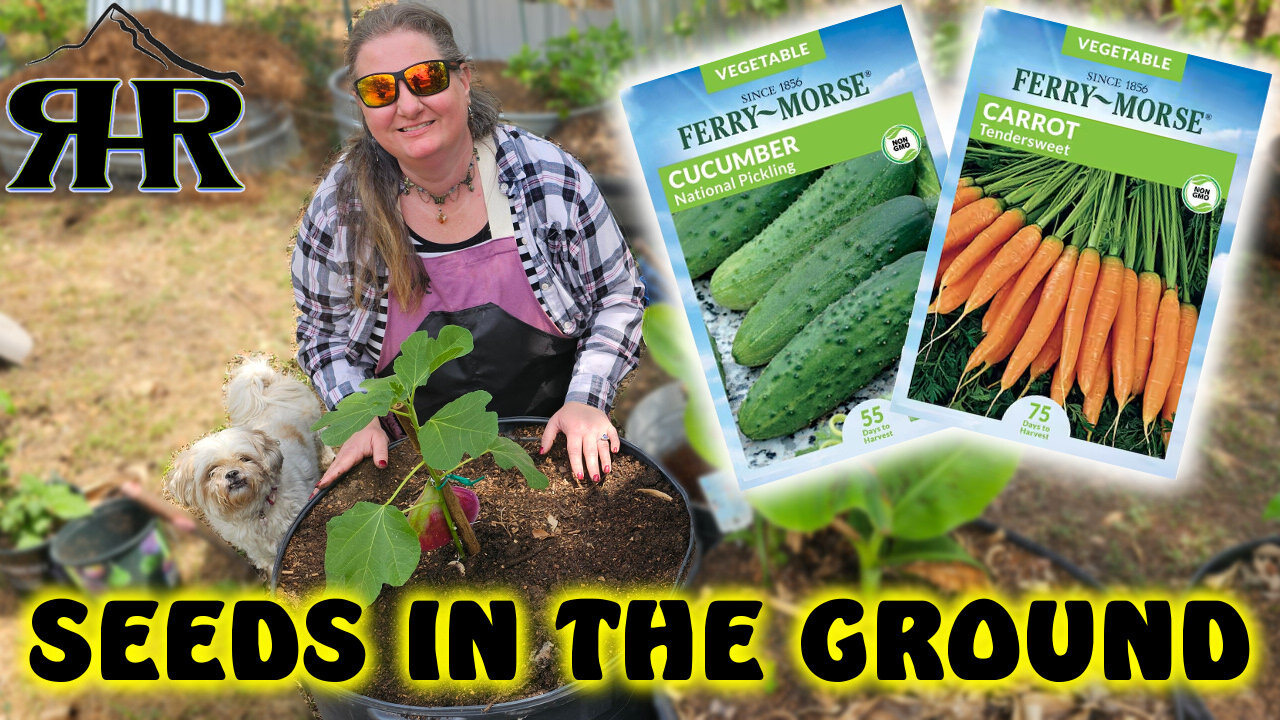 Spring Planting After the Rain | Soaker Hose Fixes & Garden Prep 🌿🌧️