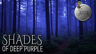 The Larry Seyer Show - Shades of Deep Purple