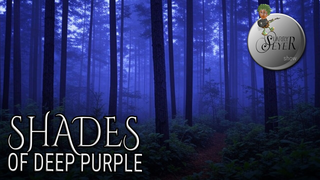 The Larry Seyer Show - Shades of Deep Purple