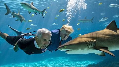 Trump & Netanyahu Swimming With Sharks