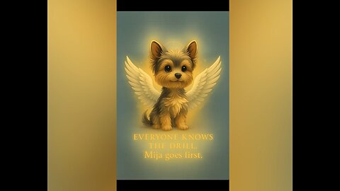 Senior Dog Was Saying Her Goodbyes Before She Passed Away