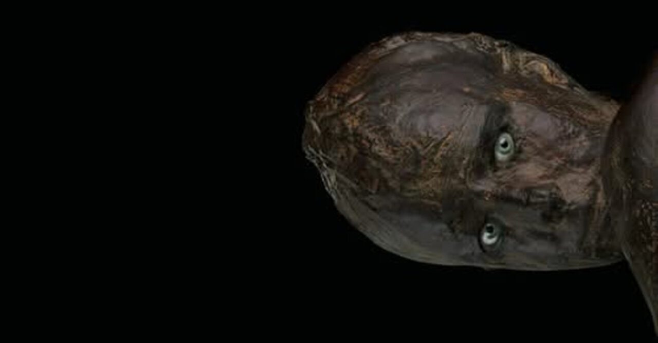 THE DIVINE FEMININE TRANSMUTATION HAPPENING NOW (2025) KJOzborne