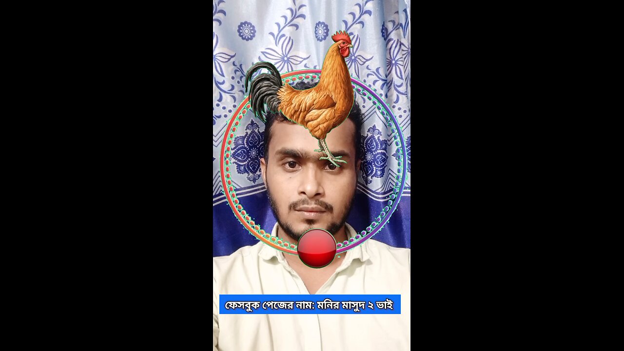 মুরগির মাথাটি জোড়া লাগান ৮০ 🧩✅ #reels #puzzle #tending #viral #foryou