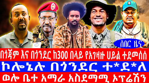 በጎጃም እና በጎንደር ከ300 በላይ የአገዛዙ ሀይል ተደመሰሰ/ኮሎኔሉ በጎንደር ተ*ደ*ለ/ወሎ ቤተ አማራ አስደማሚ ኦፕሬሽን