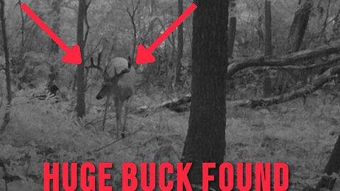 Pre-Season Scouting Michigan Public and Private Land