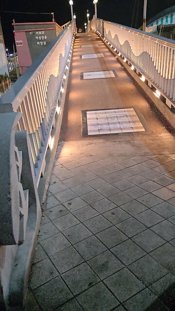 아내와 야간산책