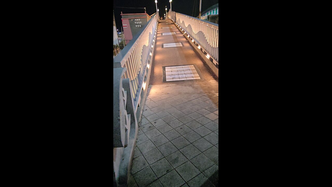 아내와 야간산책