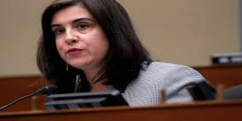 Rep. Malliotakis Trump Made 'Wrong Decision' on Santos