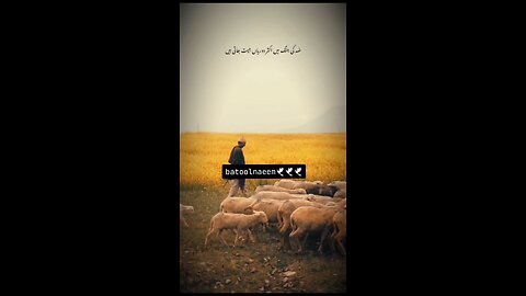 #foryoupage#viralvideo