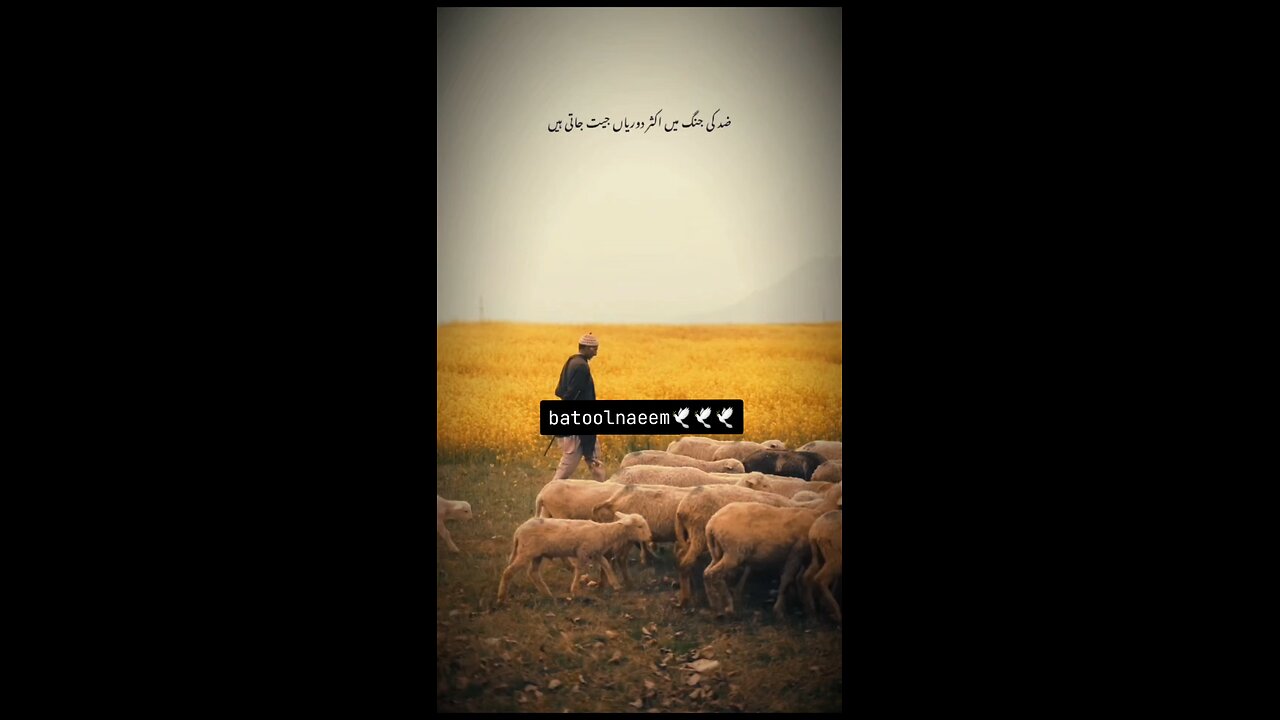 #foryoupage#viralvideo