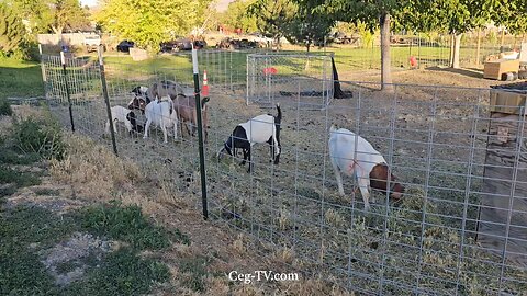 Graham Family Farm NW: 7:15 PM July 13 2025