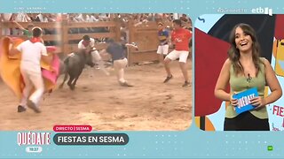 Una vaquilla embiste a un reportero en directo