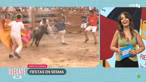 Una vaquilla embiste a un reportero en directo