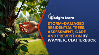 BrightLearn - Storm-Damaged Residential Trees: Assessment, Care and Prevention by Wayne K. Clatterbuck