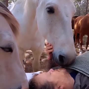 🐴 Horse Meditation °˖⋆ ℧ 𓃗 °˖⋆ Sign Me Up! ♡