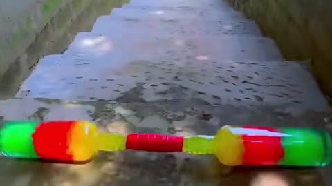 The Most Relaxing 1 Minutes on the Internet