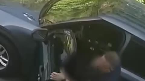 Police Chief's Road Rage Disguised as Traffic Stop