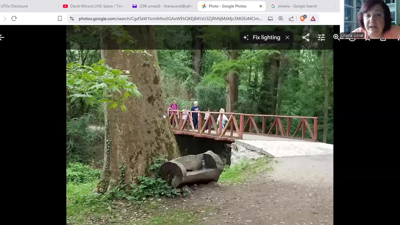 Note De Calatorie 44 Parcul Dendrologic Simeria Romania