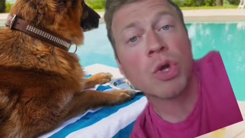 MEET GUNTHER VI THE GERMAN SHEPHERD 🤯NET WORTH $400 MILLION THE WORLDS RICHEST DOG