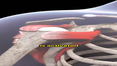 What Happens to Your Body When You Fast!