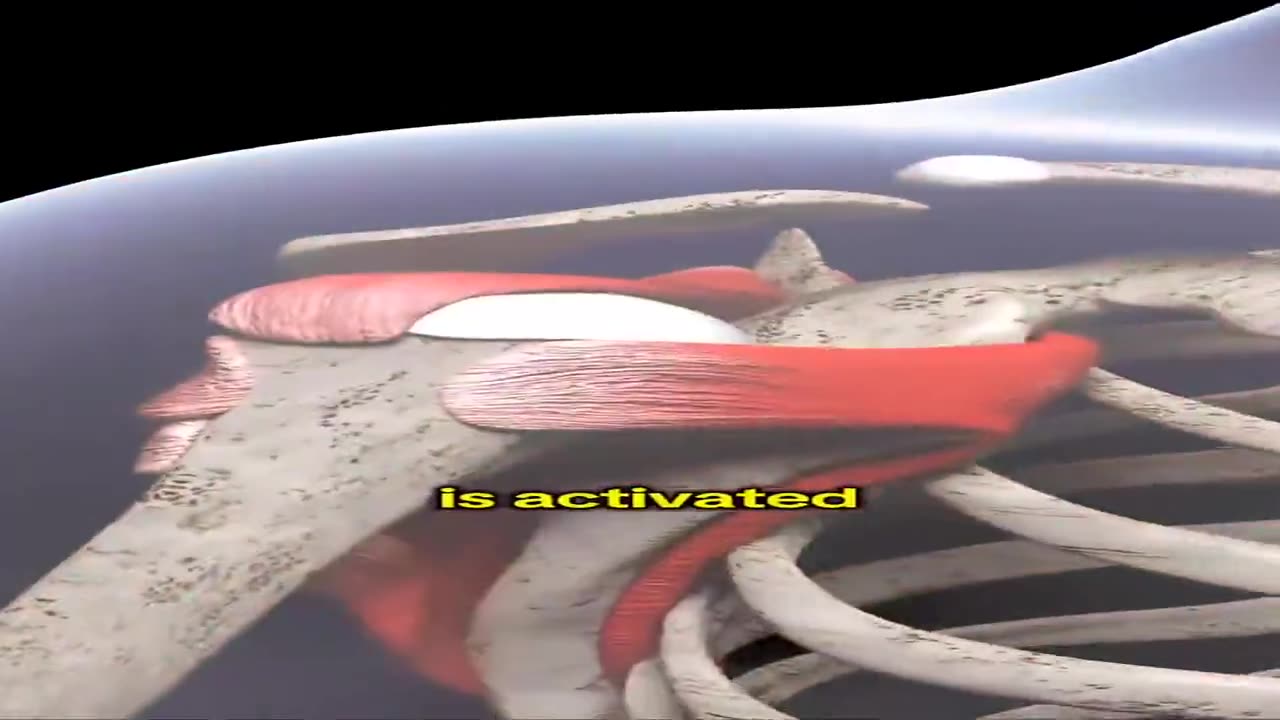 What Happens to Your Body When You Fast!