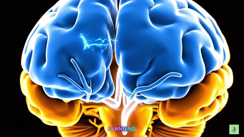 Mind Blowing Facts About Your Brain