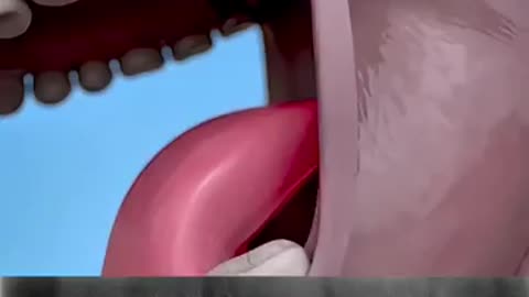 trading video 📷 trending video popular video 📸 viral