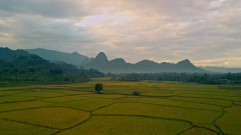 Drone Footage / of Forest Across Mountain Range